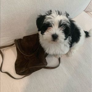 Dark Brown Suade Small Round Bag